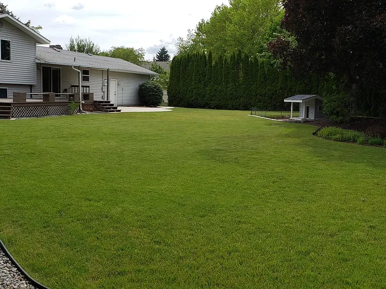 Secluded back yard