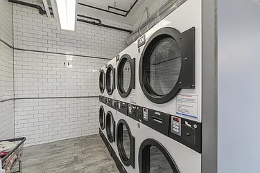 Rented by Area New York