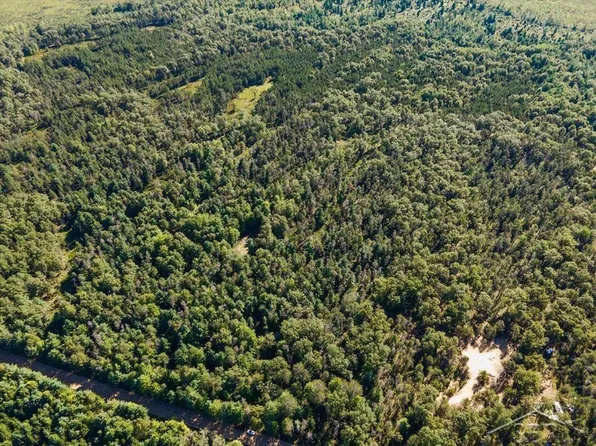 Vl Fireline Trl, Alger, MI 48610