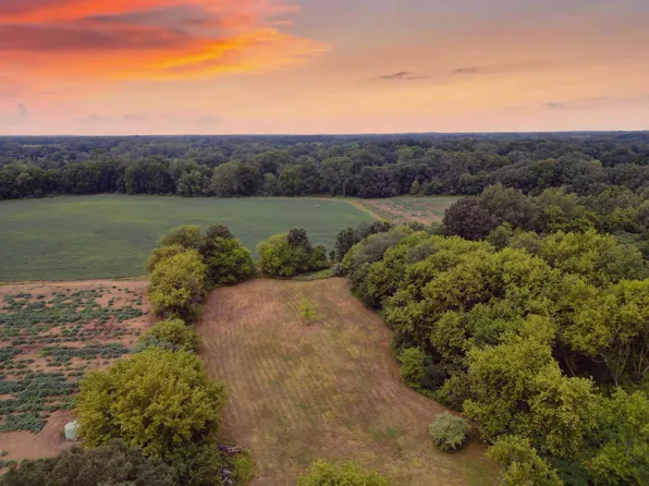 0 Bunkerhill Rd, Munith, MI 49259
