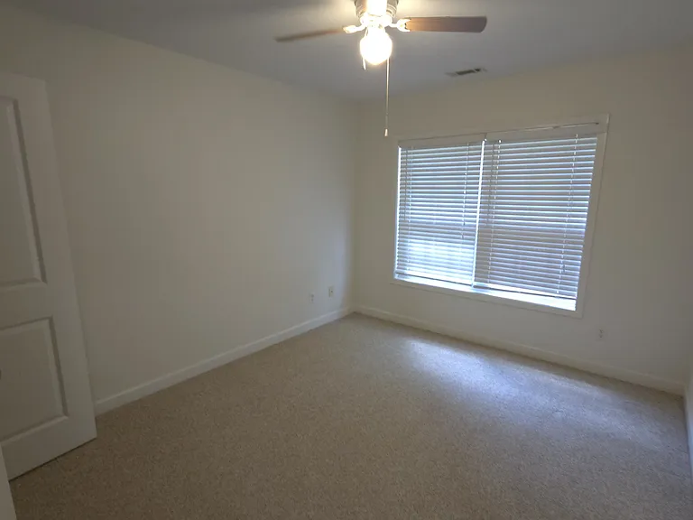 113 Bankside Ln — Photo 19