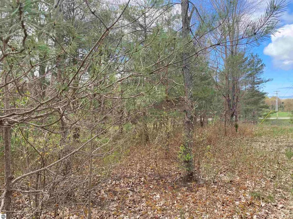PARCEL Eastman Rd #J, Beulah, MI 49617