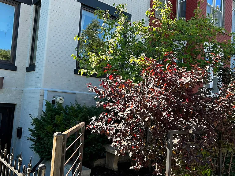 18 Q St NW #1 — Photo 6