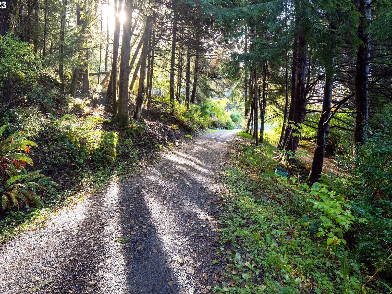 400 4th St, Wheeler, OR 97147 Zillow