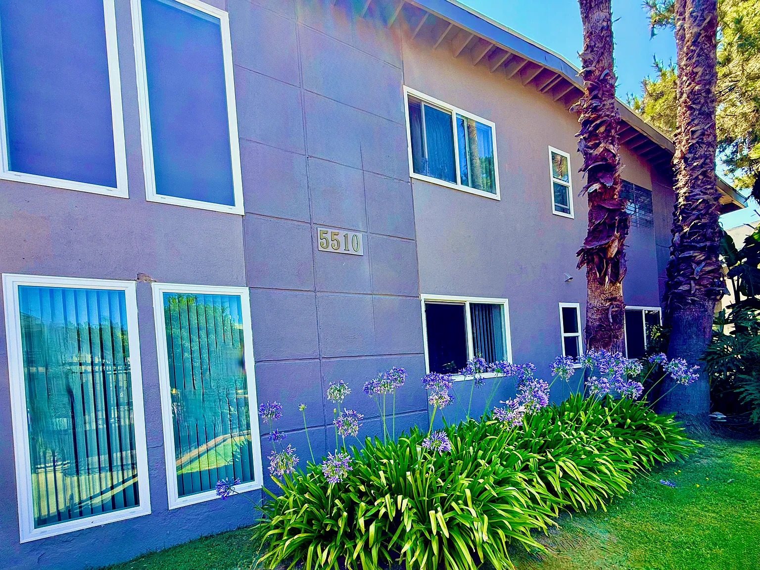 1 bed, 800 sqft, $2,350 — Photo 3