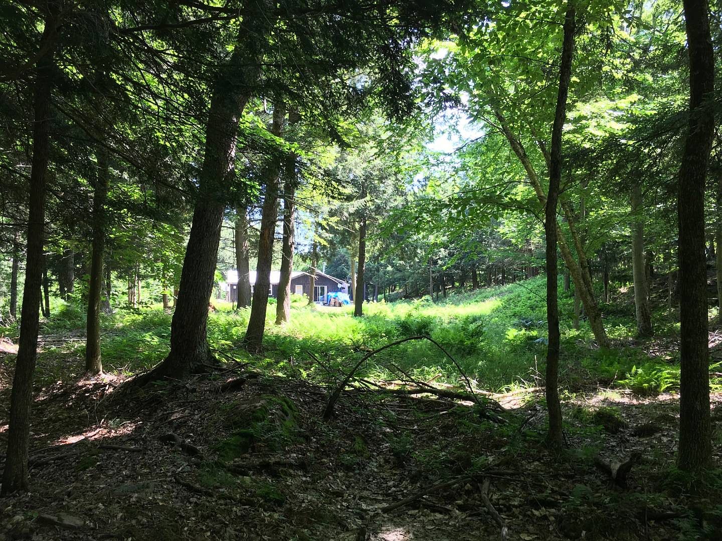 240 Gaddis Rd, Edwards, NY 13635 Zillow