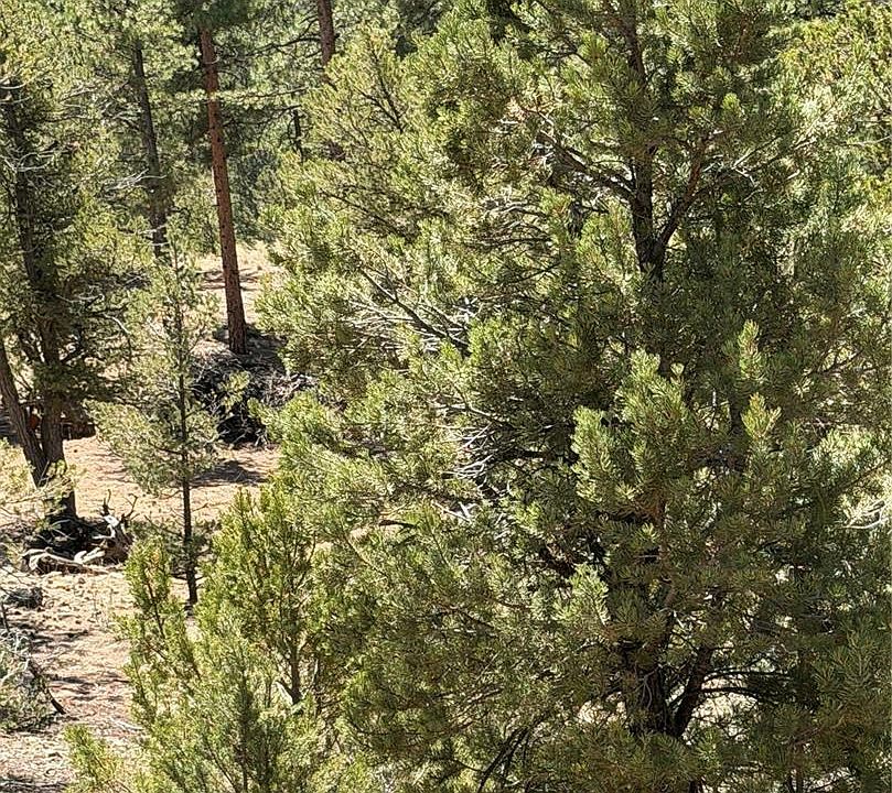 1st image of 9th Trail NA