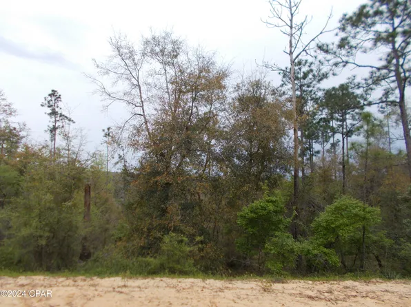 LOT 7 Castle Cir, Alford, FL 32420