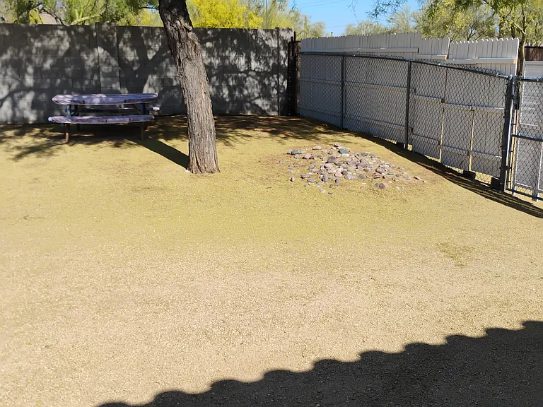 Private picnics in the RV spot with private pet area.