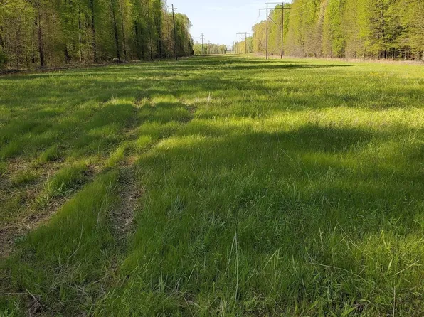 (undisclosed Address), Morrilton, AR 72110