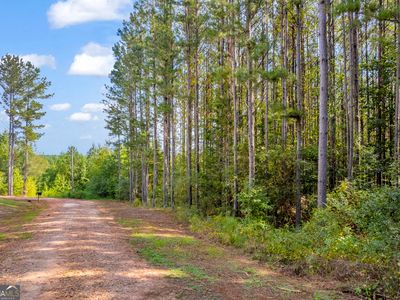 0 Moonlight Dr, Martin, GA, 30557