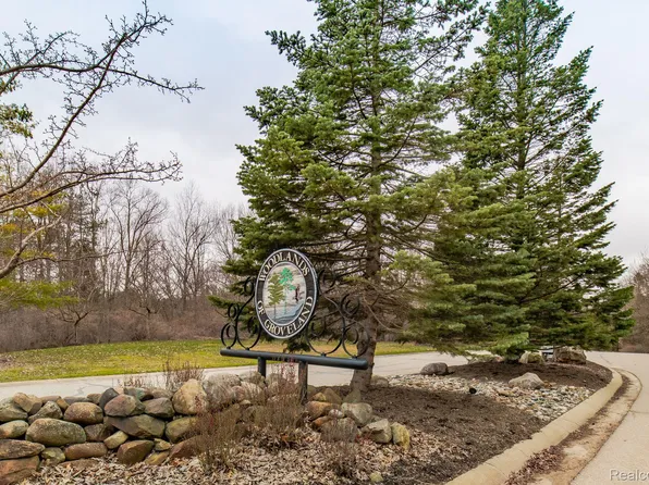 Vacant Land Pine Rdg, Ortonville, MI 48462