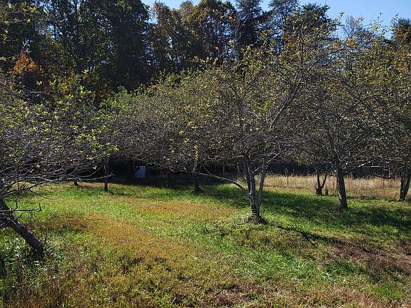 Apple and peach orchard