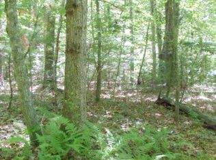 Valley View Trl LOT 44, Fancy Gap, VA 24328