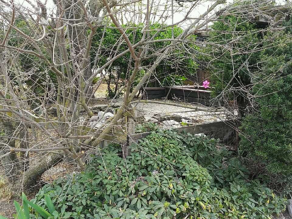 2nd image of 7209 SW 13th St