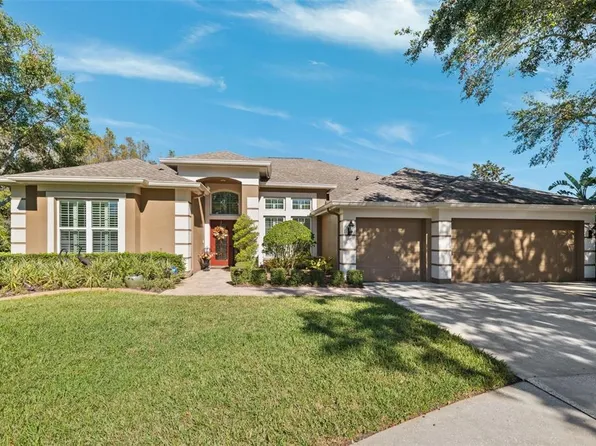 5401 Breathless Ln, Lutz, FL 33558