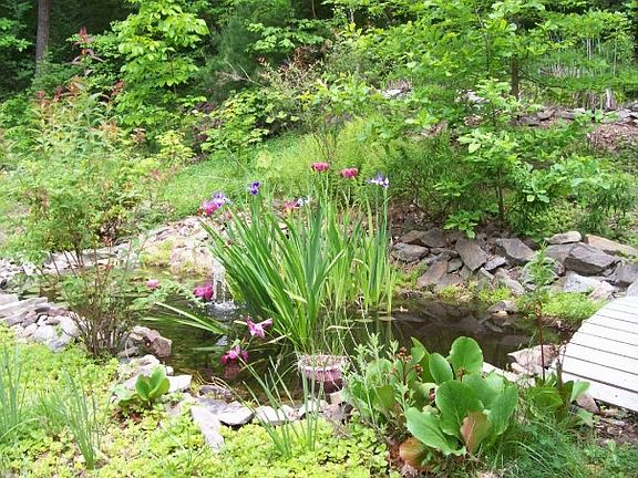 Water Garden