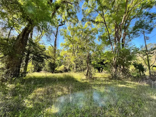 LAKE CIRCLE LOT 18, FANNING SPRINGS, FL 32693