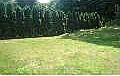 Private back yard