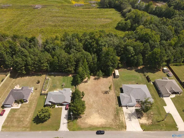 15144 Blake Dr, Harvest, AL 35749