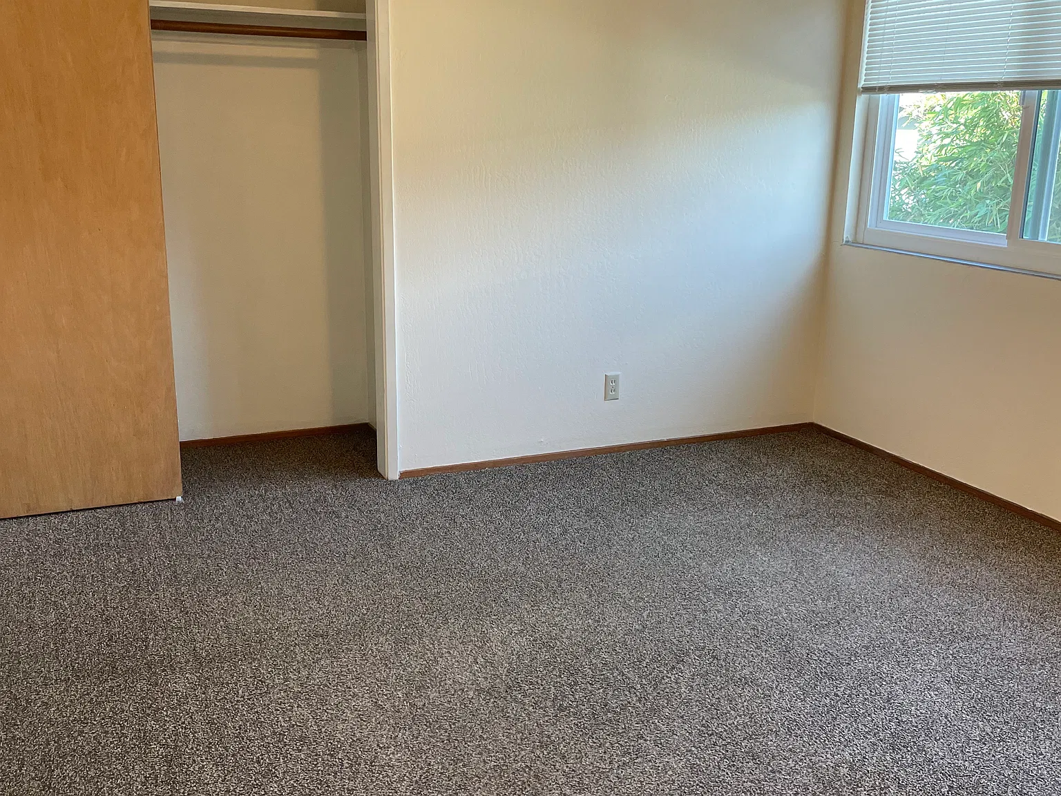 1 bed, $1,800 — Photo 3