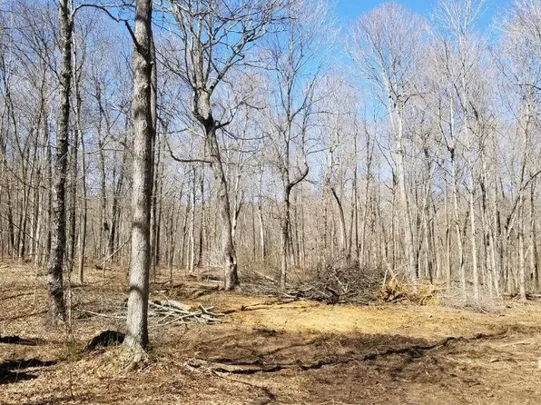 0 Carrsville Rd, Smithland, KY 42081