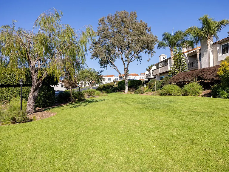905 Caminito Estrada #A — Photo 8
