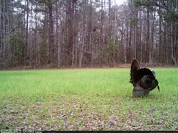 3rd image of 2738 County Farm Rd #A-d