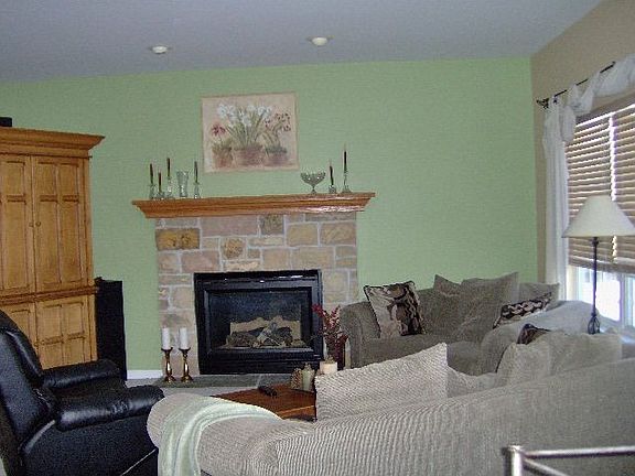 Family room with fireplace