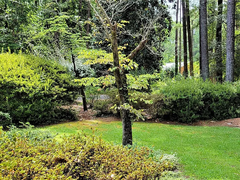 174 Boiling Springs Cir — Photo 46
