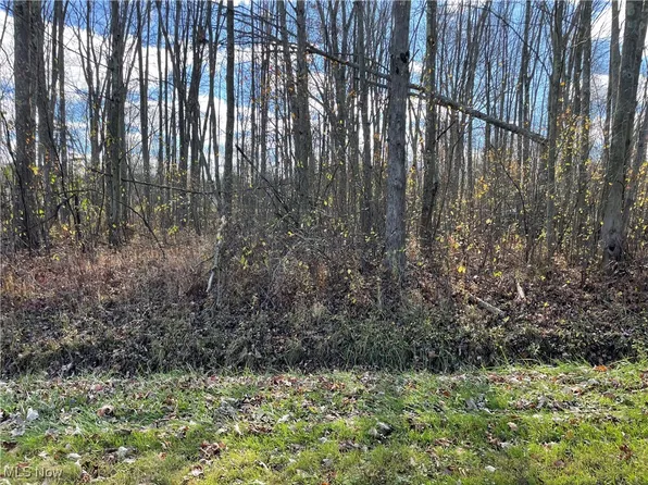186 Ashtabula Pt, Roaming Shores, OH 44084