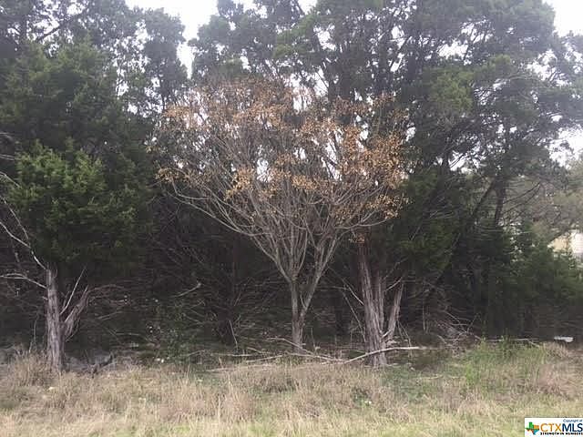 1st image of 233 Paradise Hls