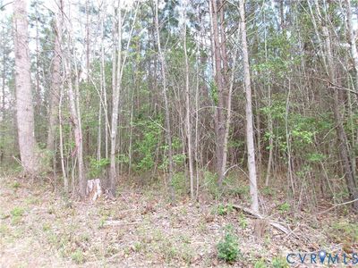 69-1 Lew Jones Rd Lot 1, Dewitt, VA, 23840