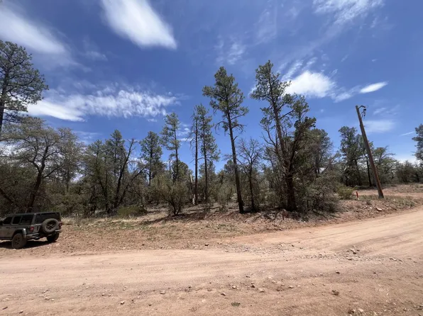 Ike Clark Pkwy, Young, AZ 85554