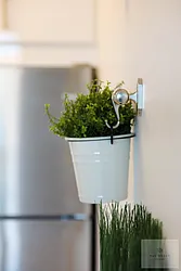 Rented by Winzone Realty Home Inc