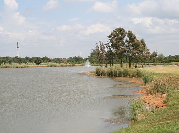 One of the two Silver Chase Lakes