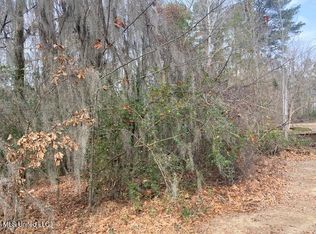 Dunlieth W Dunleith Way Lot 2980, Clinton, MS 39056