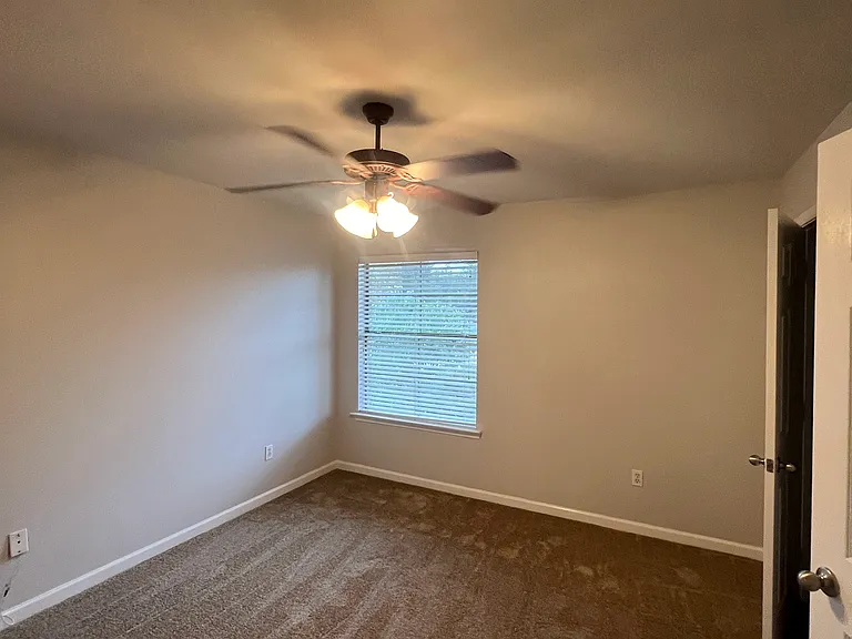 1900 Carrollwood Dr #3 — Photo 52