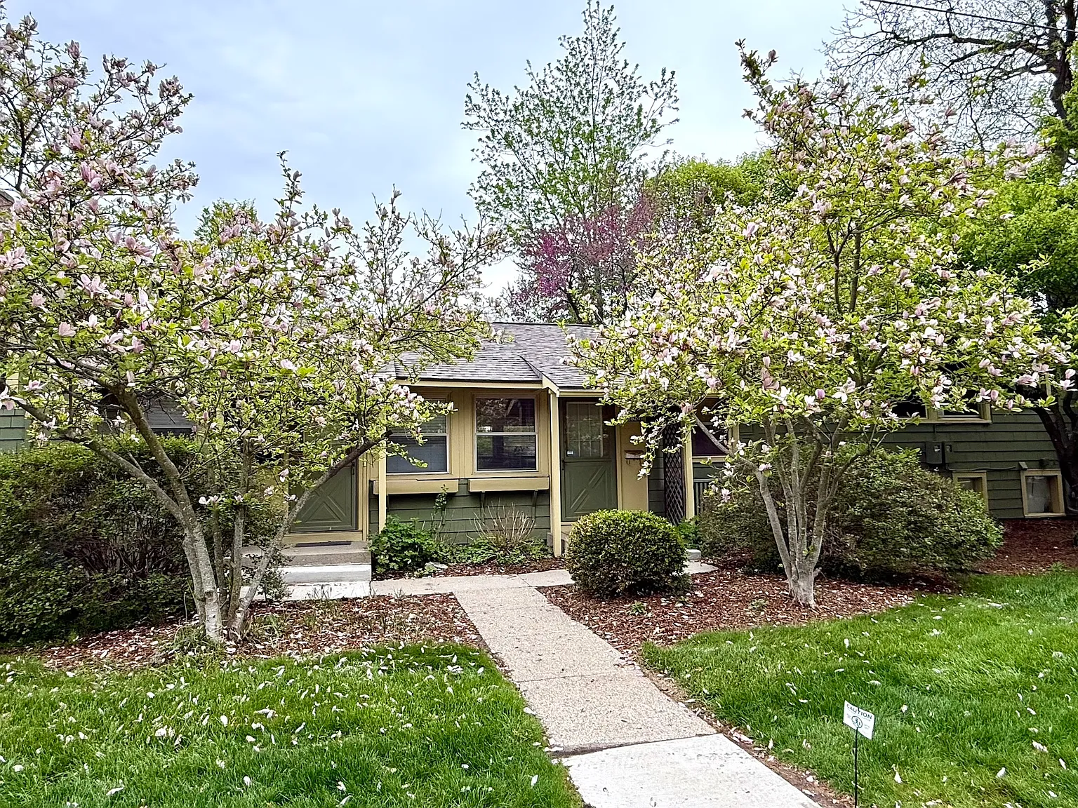 1 bed, 619 sqft, $1,900 — Photo 1