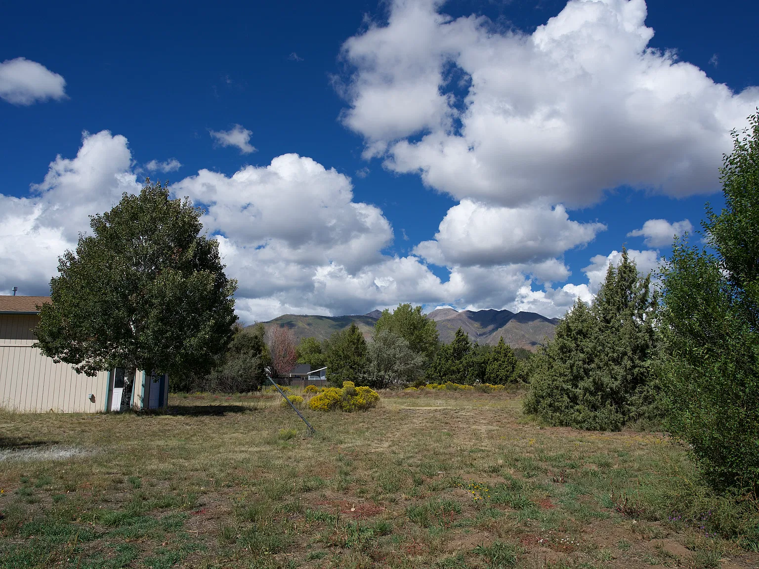 3 bed, 1900 sqft, $3,100 — Photo 4