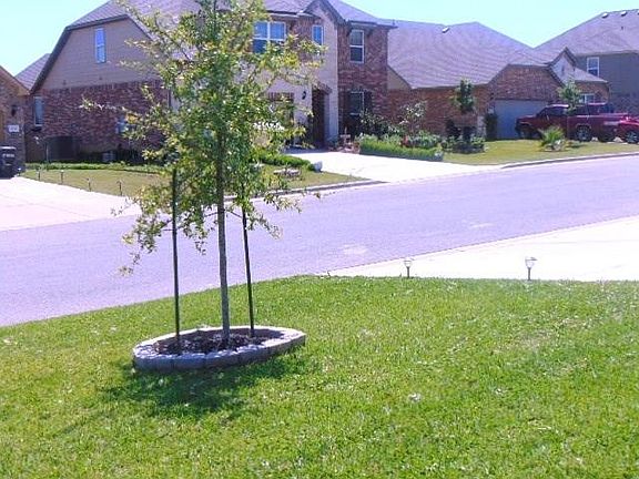 5th image of 851 Olive Ln