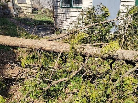 2nd image of 3244 W 41st St