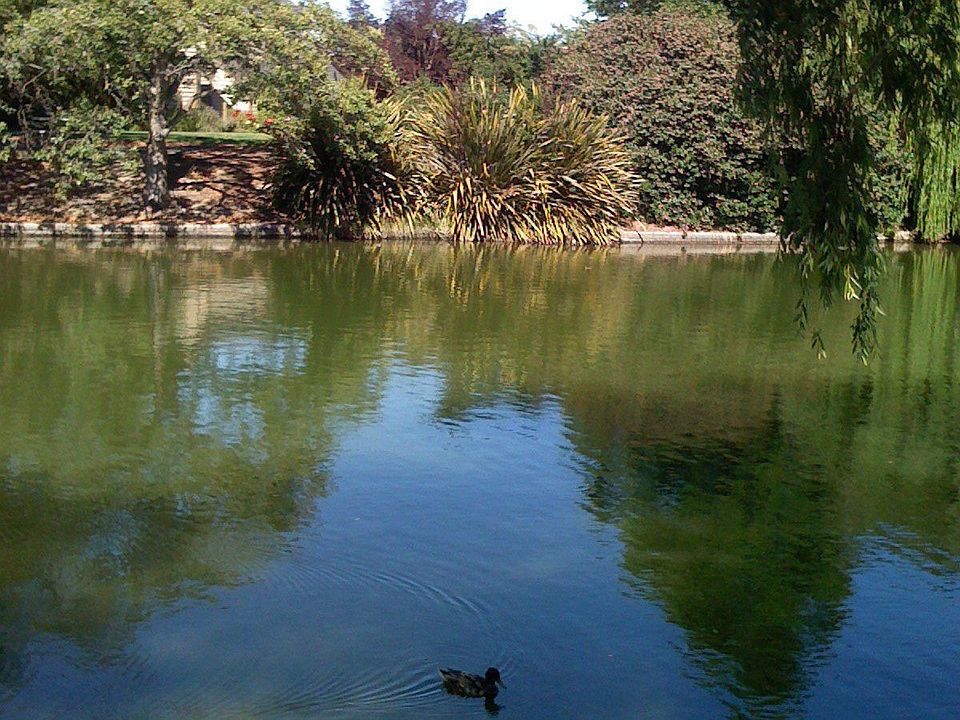 No hallways & shopping carts here!!!