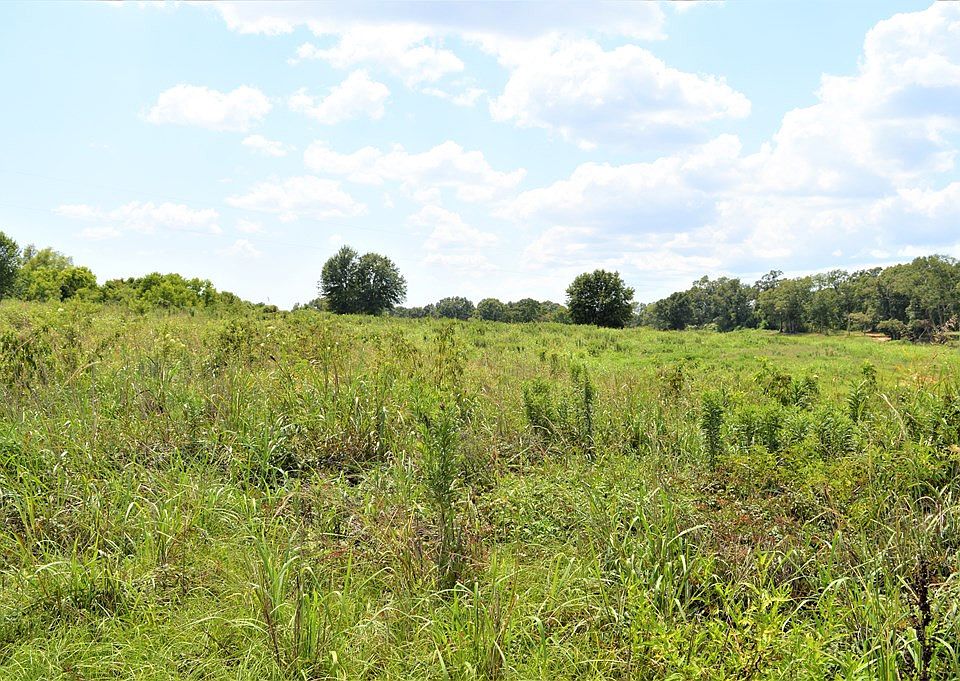 2nd image of Biltmore Dr