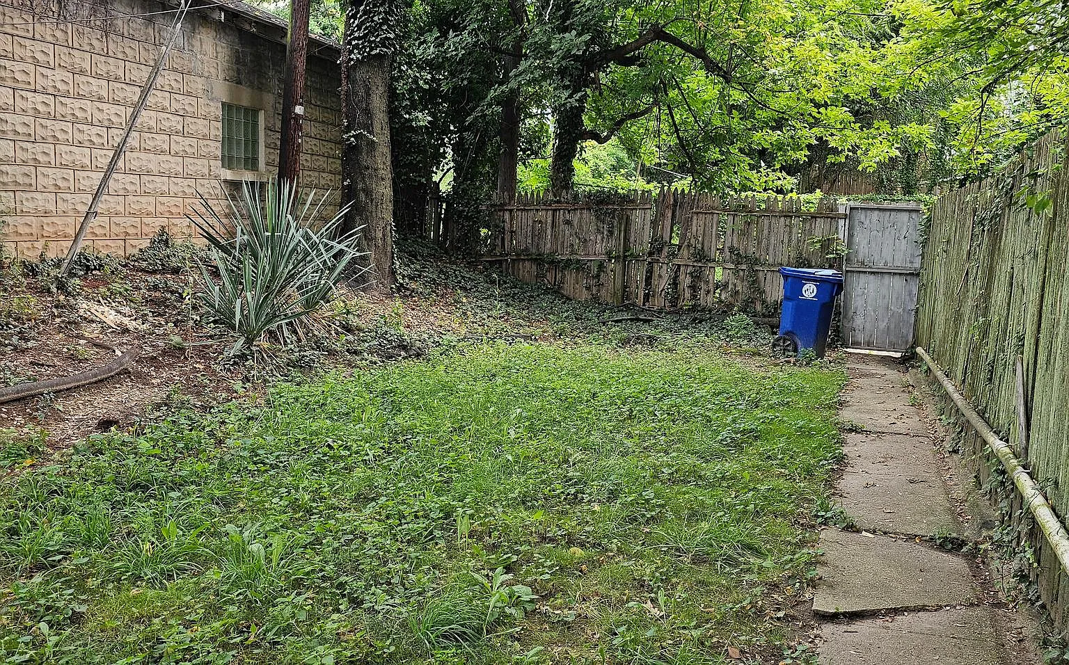 1 bed, 700 sqft, $1,300 — Photo 2