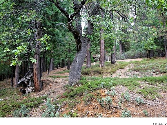 3rd image of 1898 Patricia Ln