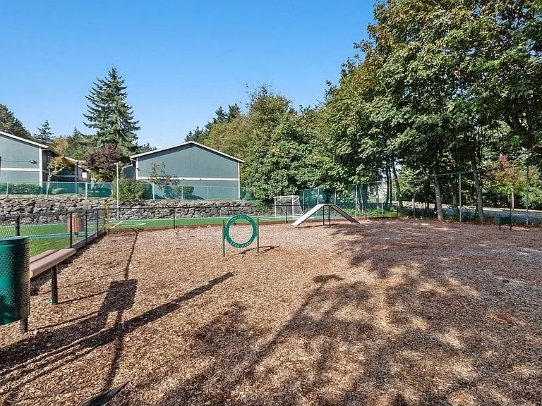 Fenced Dog Park with Agility Equipment