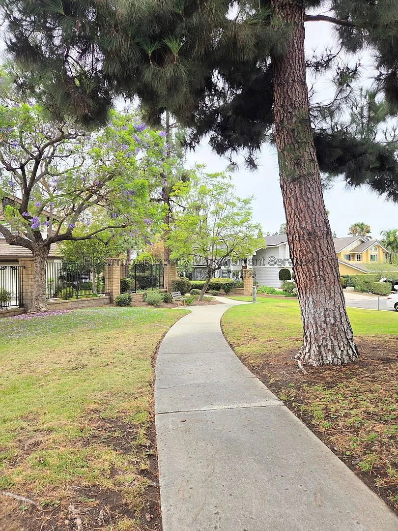 5 bed, 3.0 bath, 2918 sqft, $5,800 — Photo 4
