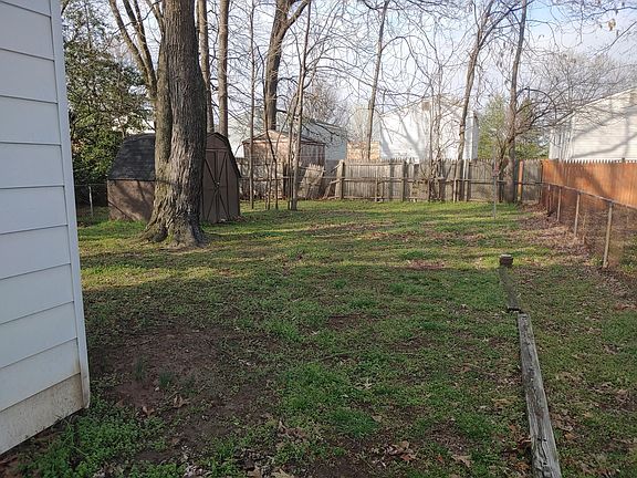 Back yard