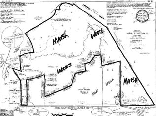 Anns Cove Rd, Bloxom, VA 23308